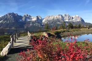 1IMG-20171030-WA0000.jpg