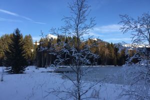 26IMG-20180404-WA0017.jpg
