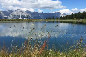 IMG_0791.jpg