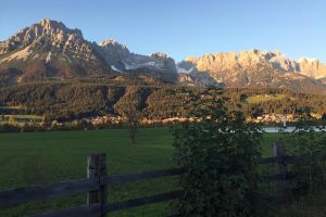 IMG_1189.jpg