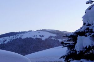 winter2_779.jpg
