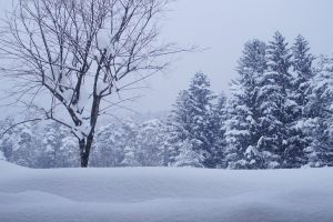 winter3_779.jpg