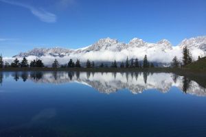 IMG_1177.jpg