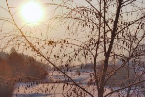 wi04_779.jpg