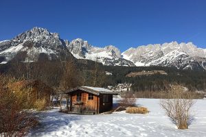 112017-02-14 14.50.02.jpg