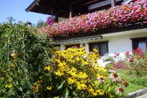haus-blumen_779.jpg