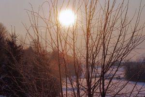wi01_779.jpg