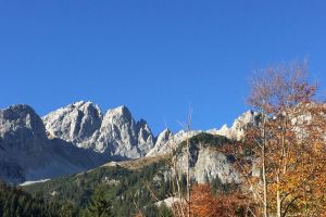 17IMG-20171030-WA0026.jpg