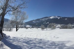 17IMG-20180306-WA0010.jpg