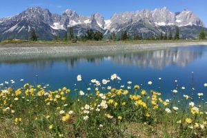 4IMG-20180404-WA0030.jpg