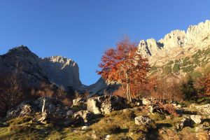 11IMG-20171030-WA0009.jpg