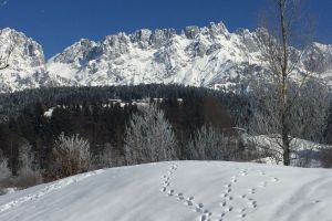 15IMG-20180306-WA0008.jpg