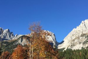 16IMG-20171030-WA0021.jpg