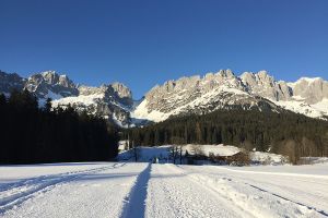 102017-01-29 15.48.27.jpg