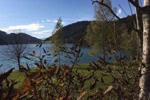 13IMG-20171030-WA0016.jpg