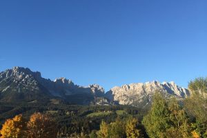 IMG_1144.jpg