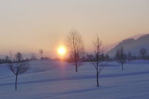 wi03_779.jpg